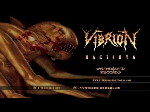 Vibrion - 