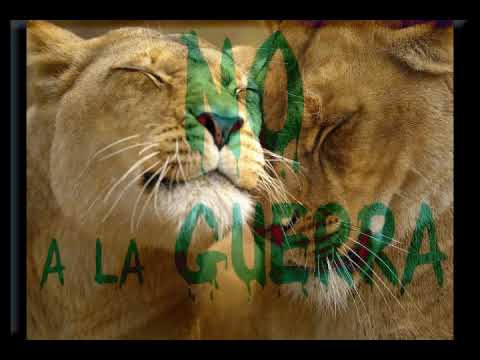 LEON VIEJO CON 12 TRIBUS DE ISRAEL   WE NEED LOVE