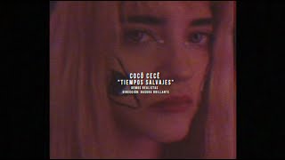 Video Tiempos Salvajes de Cocó Cecé 