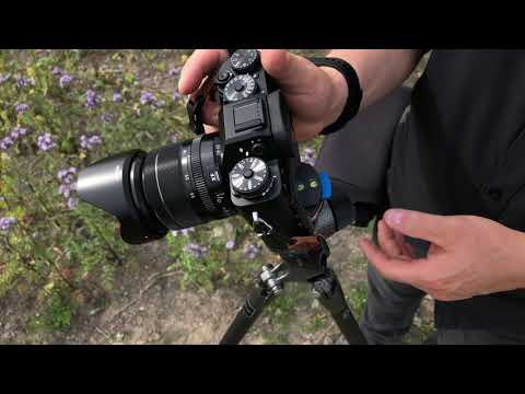 Schnellwechselkupplungen für ARCA-SWISS von Novoflex und iShoot im Vergleich