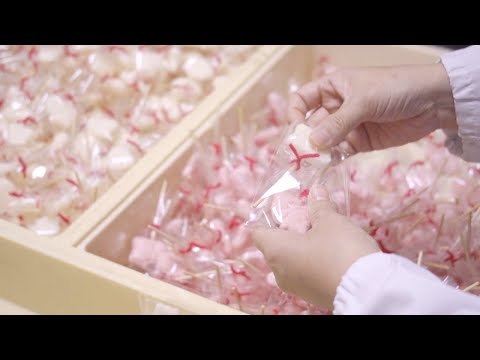 [Escena de fabricación] Envase del caramelo (Tigre) del zodiaco de la buena suerte rojo y blanco 2022 [ASMR] / Cómo hacer un caramelo / Año nuevo 2022 / Piruleta / Tigre / Japón