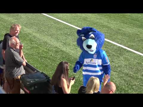 Samenvatting VV Berkum - PEC Zwolle