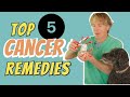 Cancer in Dogs and Cats: Top 5 Natural Remedies