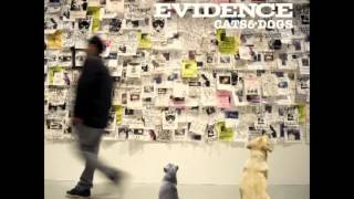 EVIDENCE "STRANGERS"