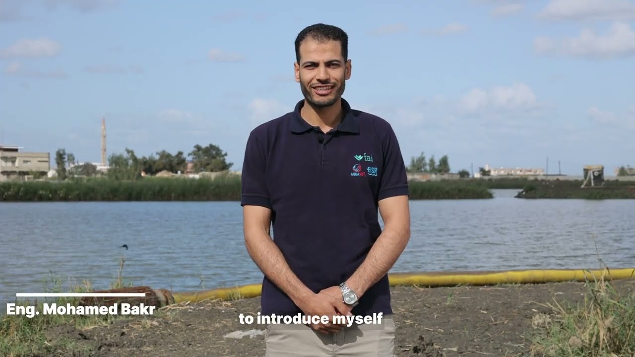 How Water Quality Monitoring Is Transforming Tilapia Farming in Egypt | Fish Welfare & Aquaculture