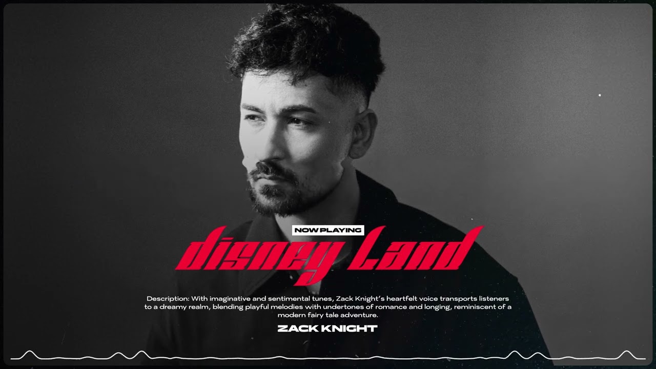 Disney Land Lyrics | Reborn | Zack Knight