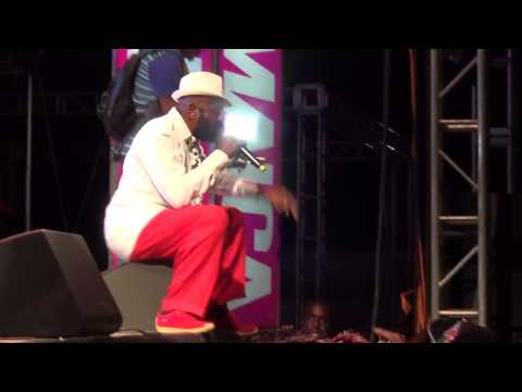 Lt. Stitchie live @ St. Ann Kite Festival 2015 (@kingstitchie)