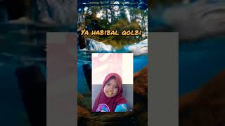 Download lagu Ya Habibal Qolbi #syafaatnabimuhammad #religion #shorts #sholawat #syafaatnabi #islam #youtuber mp3