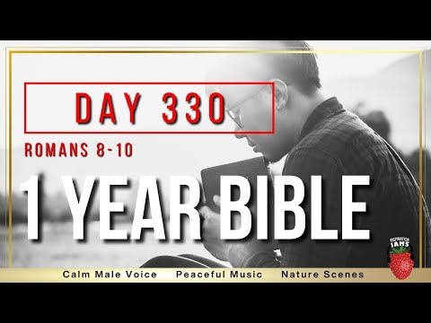Day 330 | Romans Chapters 8-10 | NIV | One Year Bible