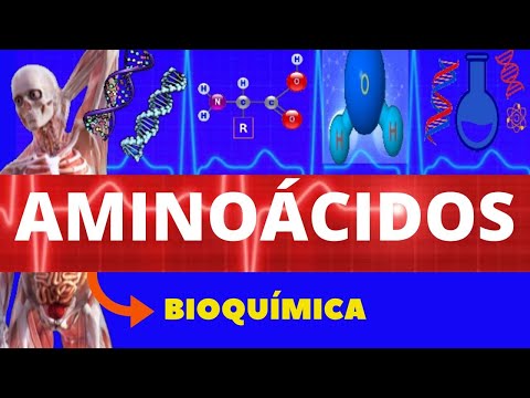 AMINO ACIDS - BIOCHEMISTRY (HIGHER EDUCATION) - ORGANIC COMPOUNDS - STRUCTURE, DIVISION AND FUNCTION