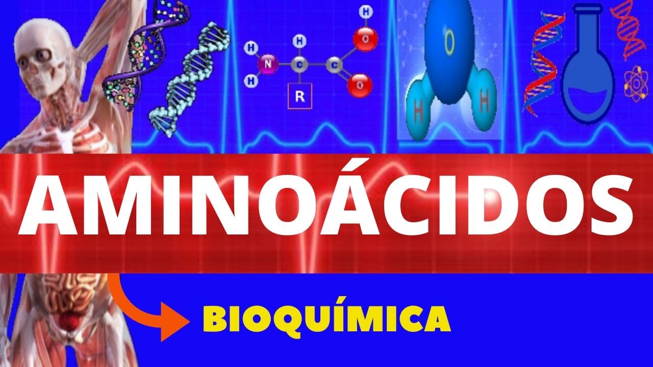 AMINOÁCIDOS - BIOQUÍMICA (ENSINO SUPERIOR) - COMPOSTOS ORGÂNICOS - ESTRUTURA, DIVISÃO E FUNÇÃO