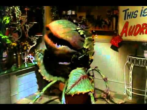 Little Shop of Horrors - Feed Me
