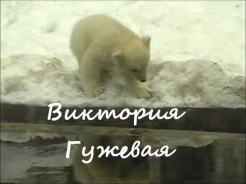 Виктория Гужевая - Песенка про медвежонка