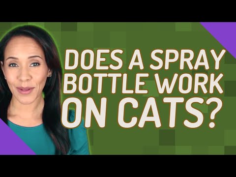 Does a spray bottle work on cats?