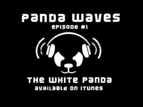 Zedd - Spectrum (Original Mix) w/ Deniz Koyu Remix - Panda Waves 1