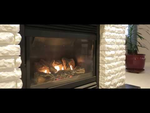 16993 104 ave, Fraser Heights for Max Paleczek | Cinematic Real Estate Video Tour