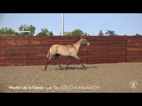 MARTINI DE LA GESSE - F PSL - 23/03/2016