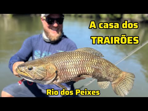 A CASA DOS TRAIRÕES - Acampamento no Mato Grosso - parte 2