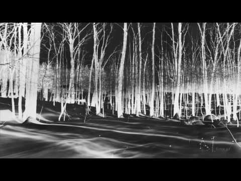 Vera Lutter - Containment of Time - 2022 02 22