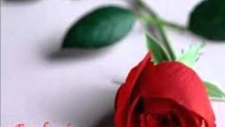 si te pudiera olvidar