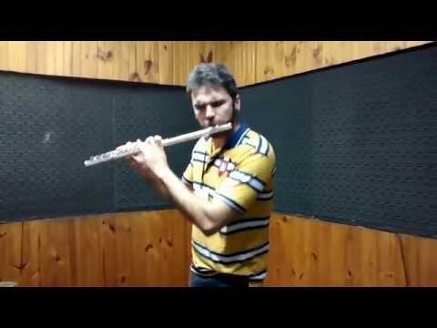 Leandro Skald - Wily Stage 1-2 (Mega Man 2) (flute/beatbox cover)