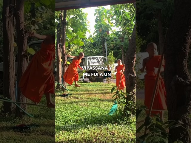 Vídeo relacionado con Túnica de Meditación de Monje, Tela de Hilo de Cáñamo Túnica Zen Tradicional Túnica Larga Budista Vestido de Meditación Traje de Entrenamiento de Monje para Meditación Zen (Talla