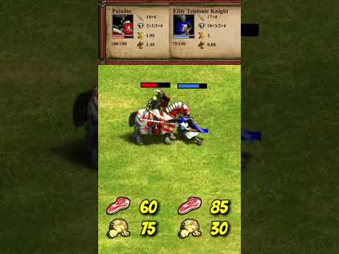 Paladin vs Elite Teutonic Knight (AoE2) #Shorts