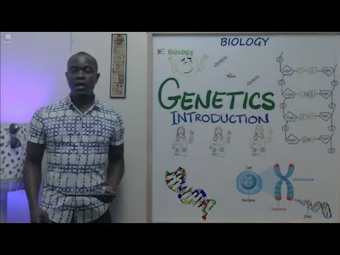 Genetics Part 1; Biology Form 4 Revision