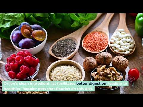 Why Vets Recommend Orijen Dog Food for Your Furry Friend's Health