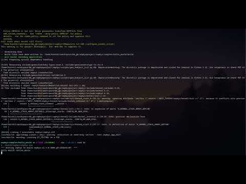 Zephyr RTOS native-POSIX Hello World