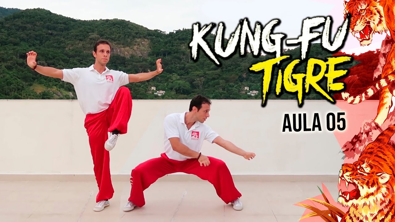 ESTILO DO TIGRE KUNG-FU - AULA BÁSICA 05