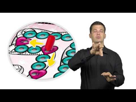 Fun For Everyone - Poznaj wzorki - 8. Gramy do końca