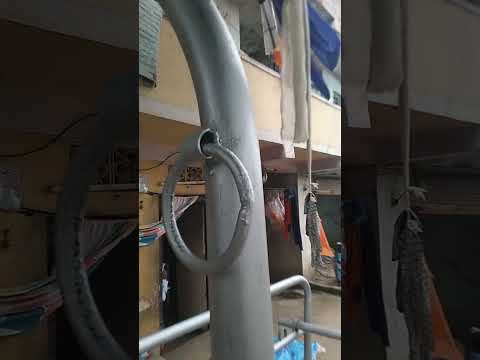 AI crate Animal Travis