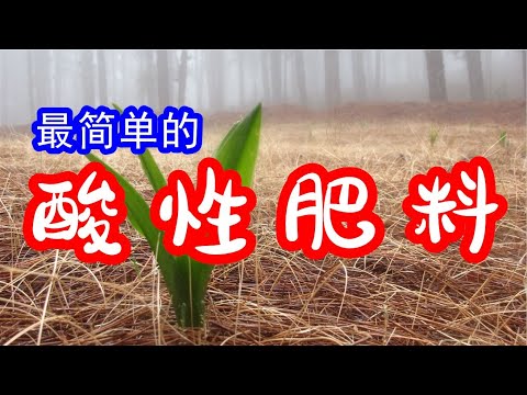 藍灰色的土