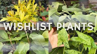 NEW stock LOWER prices 😲|| PLANT SHOPPING AT HEEMANS
