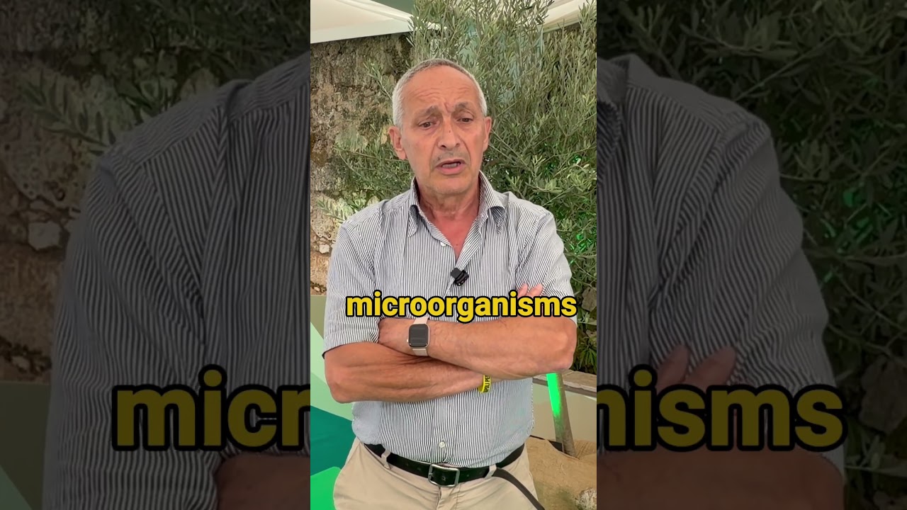 Biocontrol in Xylella fastidiosa
