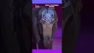 Clown d&#39;Oro Elvis e Cvetomira Errani con i loro elefanti (Festival du Cirque de Monte-Carlo 2024)