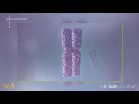 The Inside Story of Cannabidiol - feat. AMA Regenerative Medicine - Nuleaf Naturals