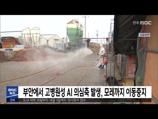 부안에서 고병원성 AI 의심축 발생, 모레까지 이동중지