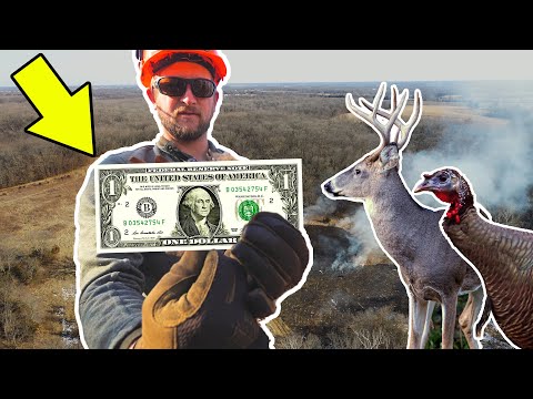 Building DEER and TURKEY Habitat on a BUDGET!!! (w/Land and Legacy!)