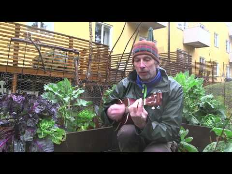 Tusen Trädgårdar & Peter Streijffert