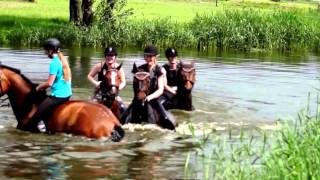 preview picture of video 'Zwemmen met paarden cross training CAH Vilentum bij De Schalm, Renswoude - 22052014'