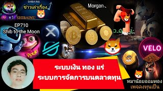 Download the video "EP710  #Shiba #XRP #velo #Floki #AI #XLM #DMTR #wlfi ระบบเงิน ทอง แร่ ระบบการจัดการบนตลาดทุน"