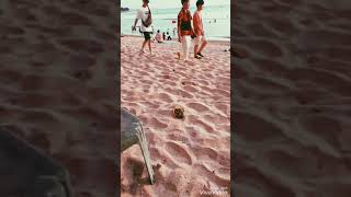 Download lagu Pas Band - Yob Eagger Story Whatsapp mp3