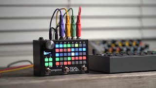Video thumbnail for 5 Whys To Buy a ZOIA // The best FX Pedal by Ricky Tinez