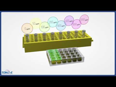 Stage 1 of 3: Generation of Stable, Transfected Cell Lines: Kill Curve