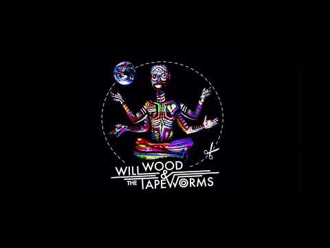 вилл вуд музыкант. Wood will. Will wood musician. Will wood альбомы. Will wood the normal album.