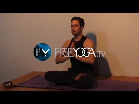 Full 75min Beginner/Intermediate Hatha Yoga at play, by Stephen of FreeYoga.TV