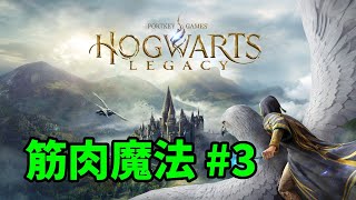 筋肉も魔法の一種 #3【ホグワーツレガシー】