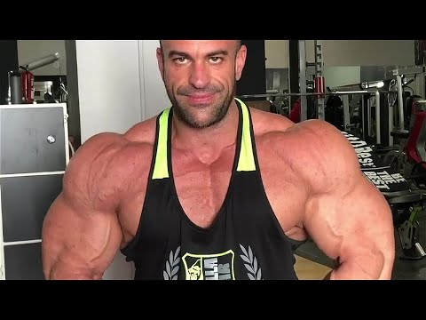 Muscle Lover: BIG BULLS!